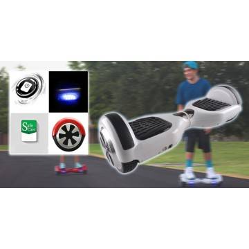 Pedana skateboard a 2 ruote