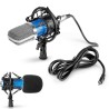 Microfono a Condensatore per Studio Radiotelevisivo & Registrazione JIMDL-700