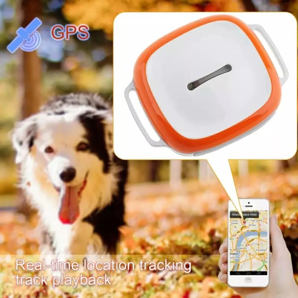 Localizzatore GPS per cani: solo 29€ per non perdere mai il tuo Fido! -  Melablog