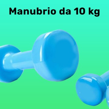 MANUBRIO SINGOLO 10 KG IN...