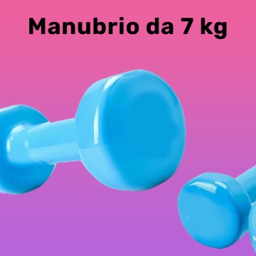 MANUBRIO SINGOLO 7 KG IN...