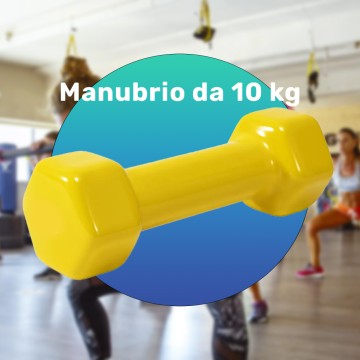 MANUBRIO SINGOLO 10 KG IN...