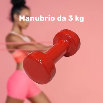 MANUBRIO SINGOLO 3 KG IN...