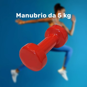 MANUBRIO SINGOLO 5 KG IN...