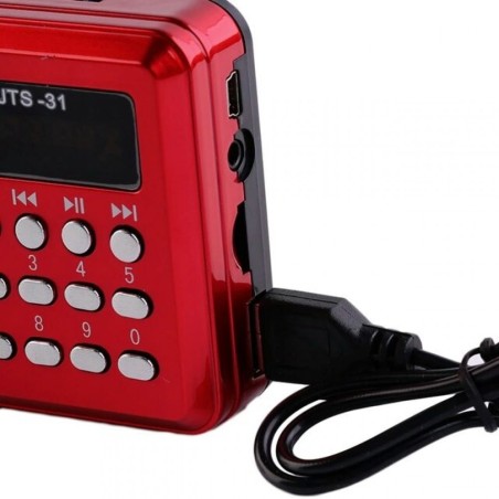 RADIO LETTORE MP3 MINI SPEAKER PORTATILE CON FLASH DRIVER TF CARD DISPLAY LED