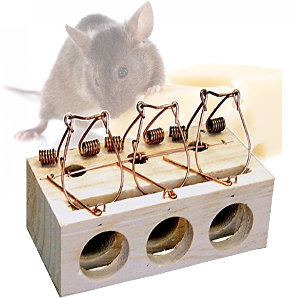 Come fare una trappola per topi al costo di 12 centesimi 