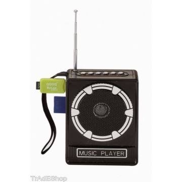 Cassa Radio FM USB SD Jack Aux MP3 speaker radio 