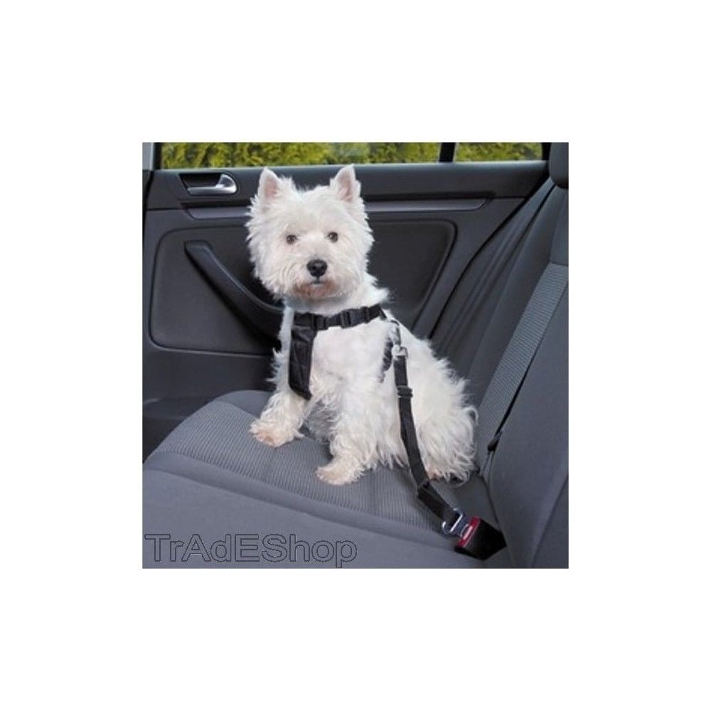 Cintura Di Sicurezza Auto Per Cane, Guinzaglio Regolabile Universale In Nylon Nero